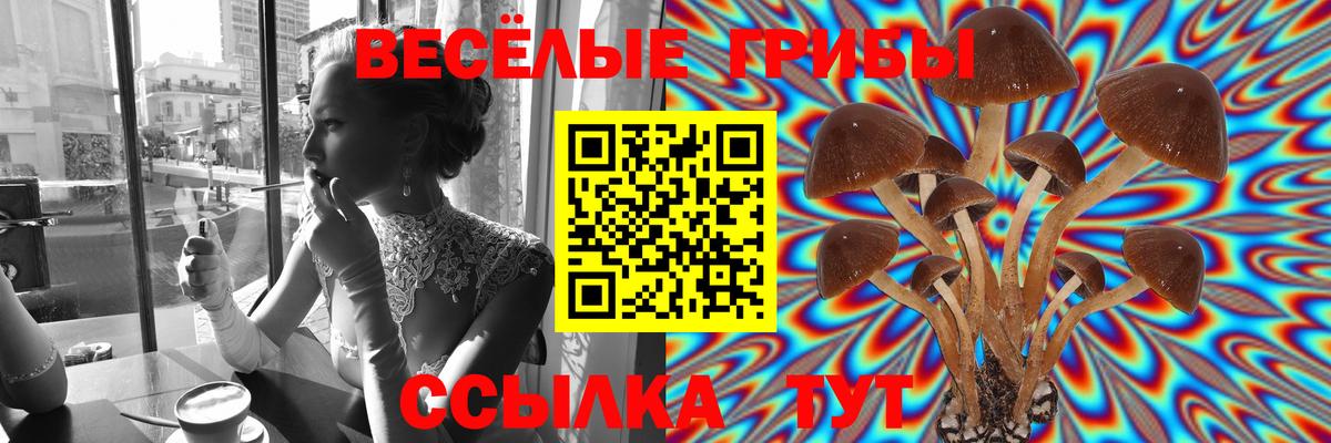 Псилоцибиновые грибы GOLDEN TEACHER  Вход с VPN  Галлюциногенные грибы мухоморы  Альметьевск 