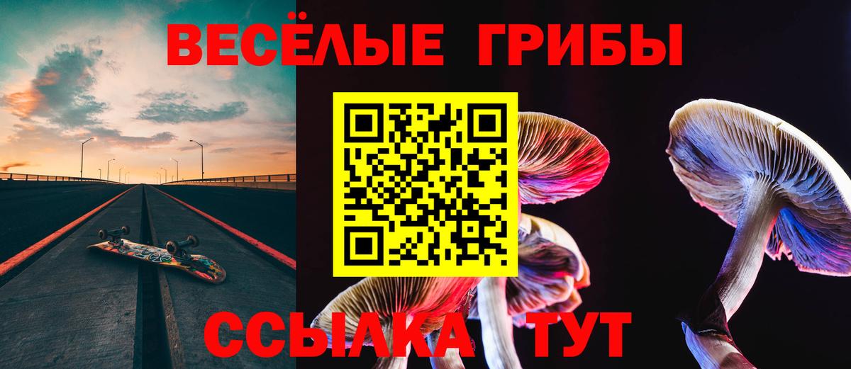 Псилоцибиновые грибы MAGIC MUSHROOMS Альметьевск